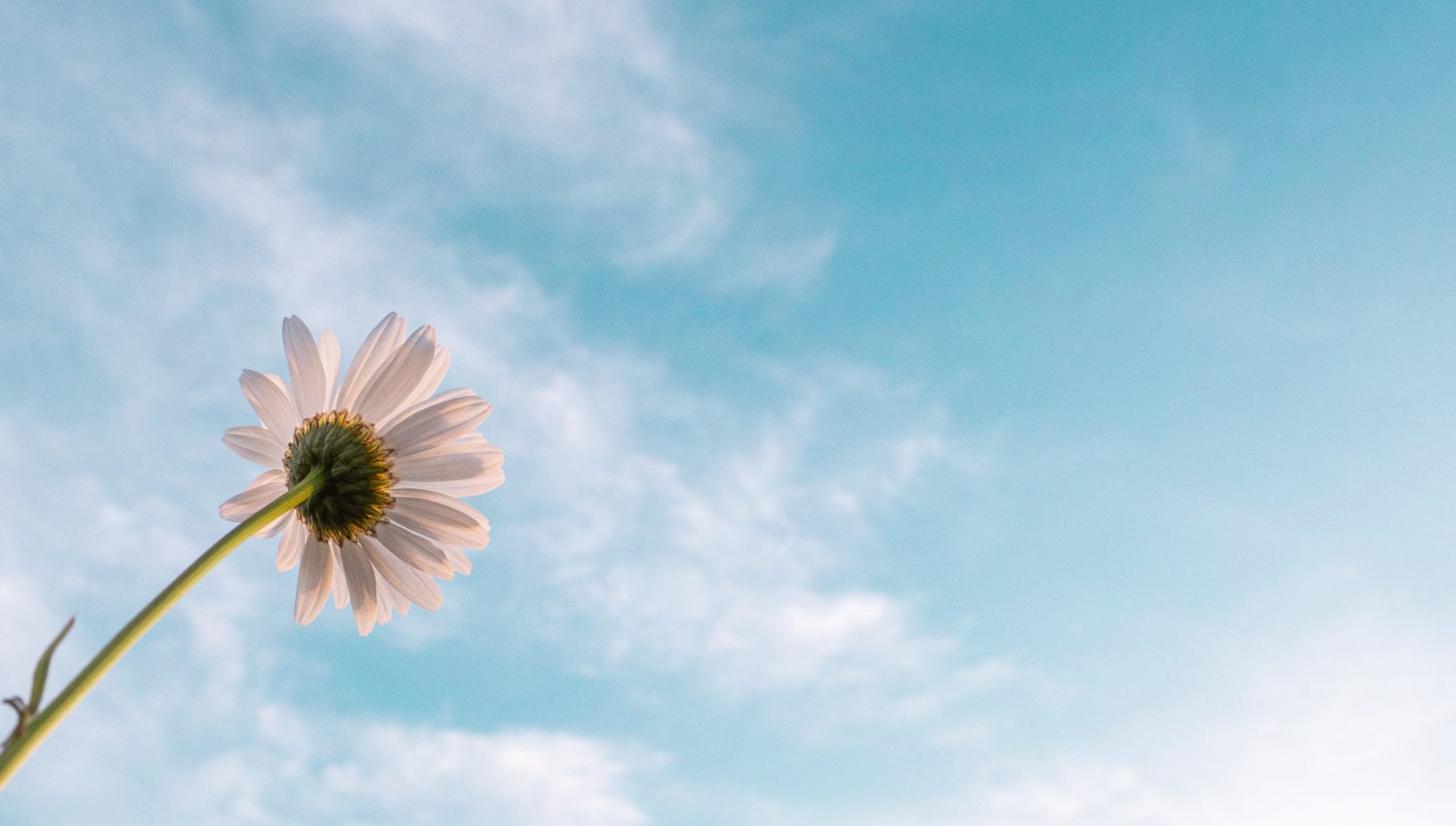 Newsletter – July 2022